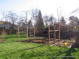 Bee Garden Construction