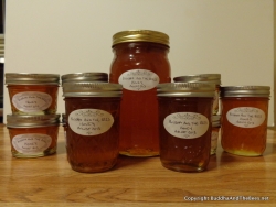 Honey from the hive